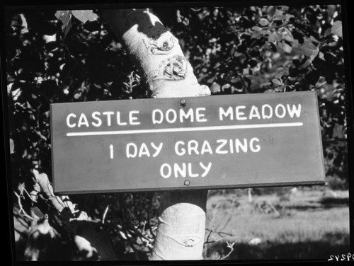 Signs, 1-Day Grazing Only, Castle Dome Meadow