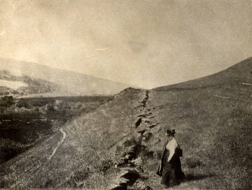 Botanist Alice Eastwood stands along the fault trace, near Olema, following the earthquake of April 18, 1906, Marin County, California [photograph]