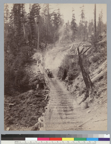 "Stud road [bullteam hauling logs], Navarro," Mendocino County, California. [photographic print]
