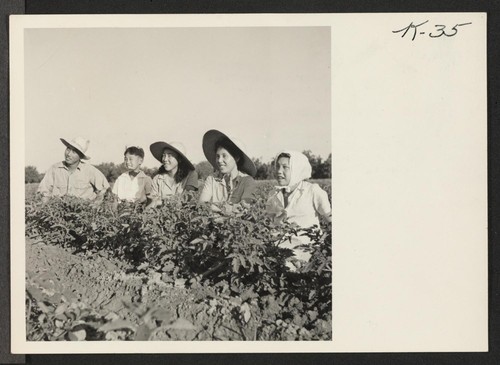 The Hirata family returned from the Manzanar center early in April to their farm at Rt. 1, Box 65, Linden