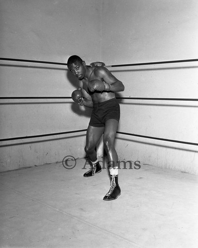 Boxer, Los Angeles, 1961
