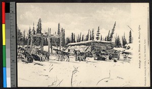 Sled dogs standing outside a log cabin amid a snowy forest, Alaska, ca.1920-1940