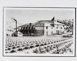 Fountaingrove Winery