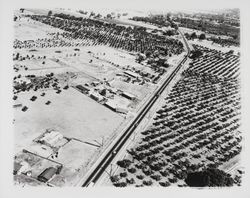 Aerial view of area near Shiloh Road and Highway 101, Santa Rosa, California, 1961
