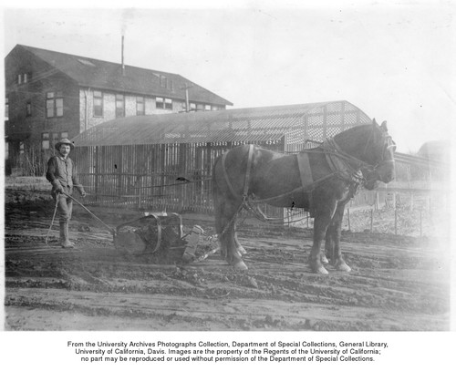 Agricultural Practice