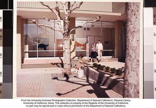 Shields Library, courtyard