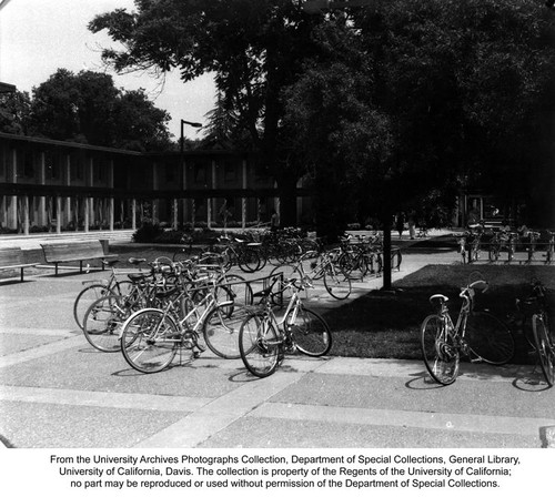 Academic Office Building, AOB IV, courtyard