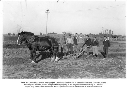 Agricultural Practice