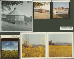 Round Barn at Fountaingrove Ranch, Santa Rosa, California, and Sonoma County mustard fields, 1980