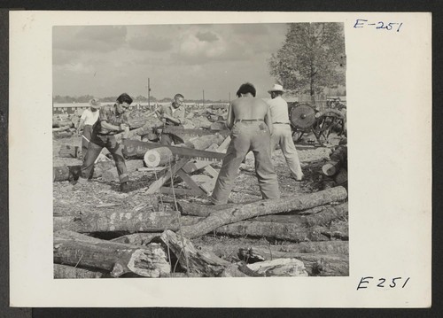 The football team coach declared so many hours a day on the woodpile for his [illegible] as training, so tackle and fullback both tackle a red oak log. Photographer: Parker, Tom Denson, Arkansas