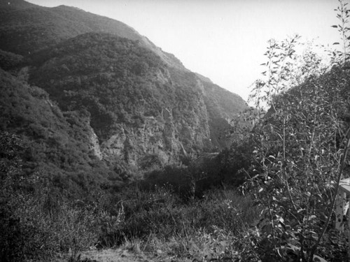 Topanga Canyon landscape
