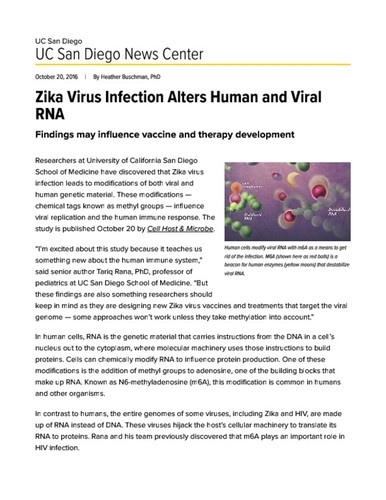 Zika Virus Infection Alters Human and Viral RNA