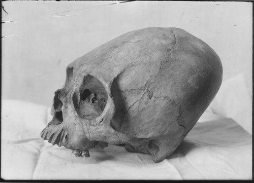 Skull from ancient grave near The Dalles, Oregon and Columbia River