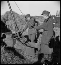 Soldiers: Road to Heinola. Soldiers stacking hay