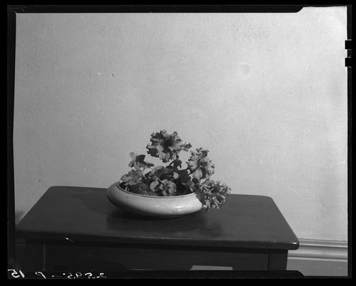 Japanese style flower arrangement with a bowl filled with flowers on a table by Margaret Preininger, Los Angeles, 1935