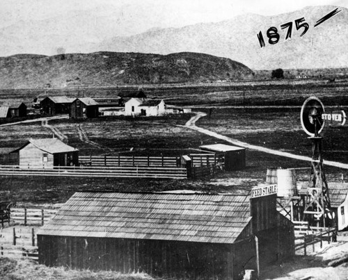 Pomona in 1875