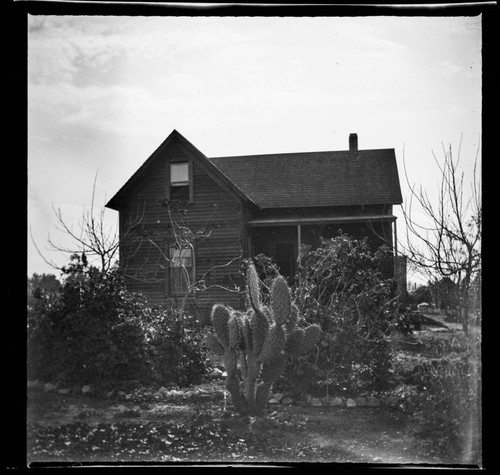 Unidentified house with cactus in front