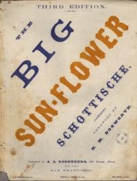 The big sun-flower schottische / arranged by H. M. Bosworth