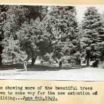 Trees in Capitol Park
