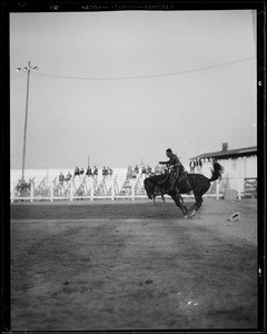 Christmas live stock show and rodeo, Los Angeles, CA, 1930