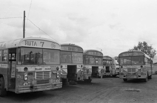 Bus parking lot, Nicaragua, 1979