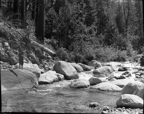 Fishing, Robert Stagner in photo. Misc. Creeks