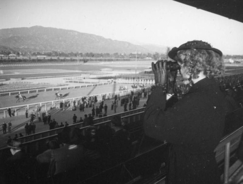 Ethel Schultheis watches a race at Santa Anita Racetrack