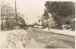 Pine Grove in winter