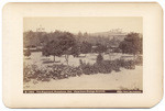 The Raymond, Pasadena, Cal. View from Orange Avenue. B1964.