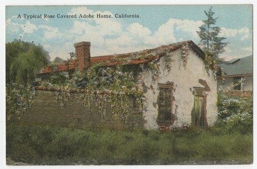 A typical rose covered adobe home, California