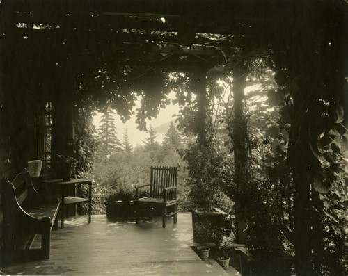 [porch and trellis]