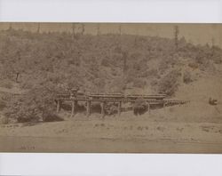 Coffee Grinder locomotive pulling a lumber train, Guerneville, California, about 1900