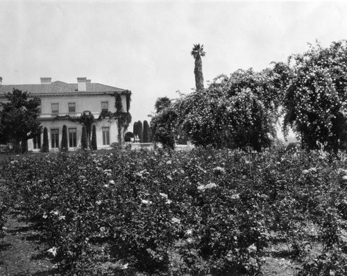 Mansion and rose garden