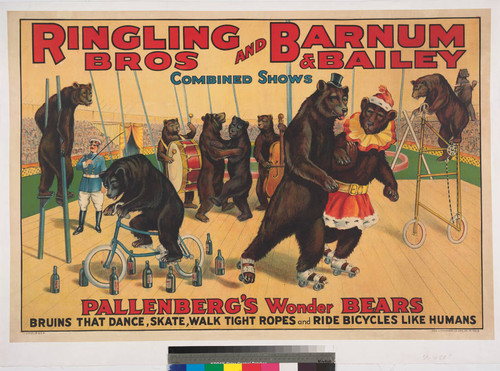 Ringling Bros and Barnum & Bailey Combined Shows : Pallenberg's wonder bears