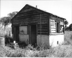 Milk shed located on the Masciorini Ranch southeast of Petaluma, California, July 2005