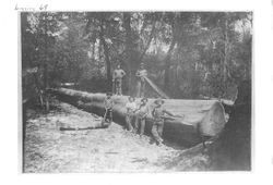 Loggers with logs for Fuller's Sawmill, Coleman Valley, early 1880s or 1890s