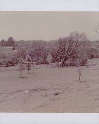 Travis Ranch and house, Travis Road, Forestville, California, April 1956