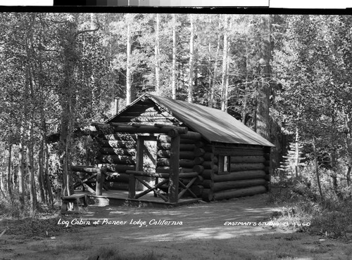 Log Cabin at Pioneer Lodge, California