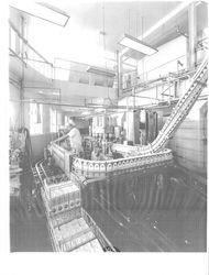 Processing dairy products at Petaluma Cooperative Creamery, Petaluma, California, 1963