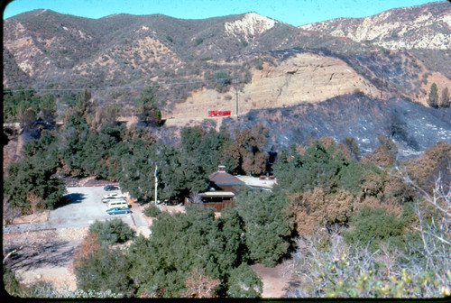 View of fire damage at Placerita Canyon Natural Area
