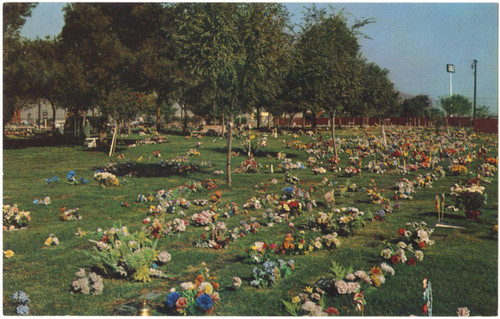 Pet Haven Cemetery, 18300 So. Figueroa St., Gardena, California