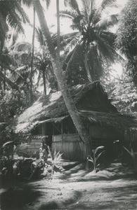 Tahitian hut