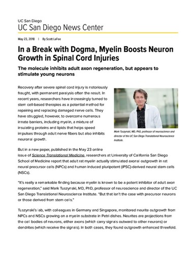 In a Break with Dogma, Myelin Boosts Neuron Growth in Spinal Cord Injuries