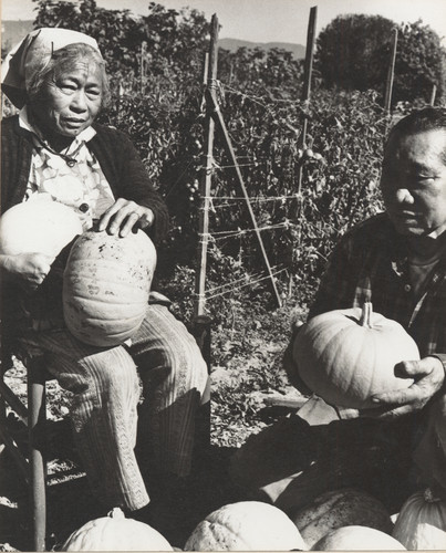 Pauline and Paulino Talaugon at Their Farm in Carpinteria