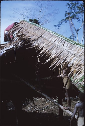 Men working on the ridge piece of house thatching, and putting it on the roof