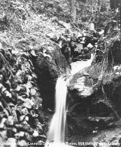 Stream in Cascade Canyon, circa 1970