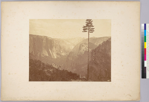[The Yosemite Valley from the Best General View.]