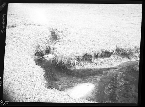 Meadow studies, more cutting, already 4 feet deep by 2 1/2 feet wide. Note small sand bar. Figure 172, Armstrong report. Light leak