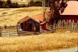 Unidentified barn in western Sonoma County, 1982