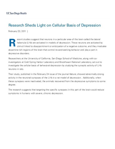 Research Sheds Light on Cellular Basis of Depression